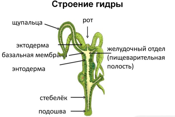 Браузер кракен